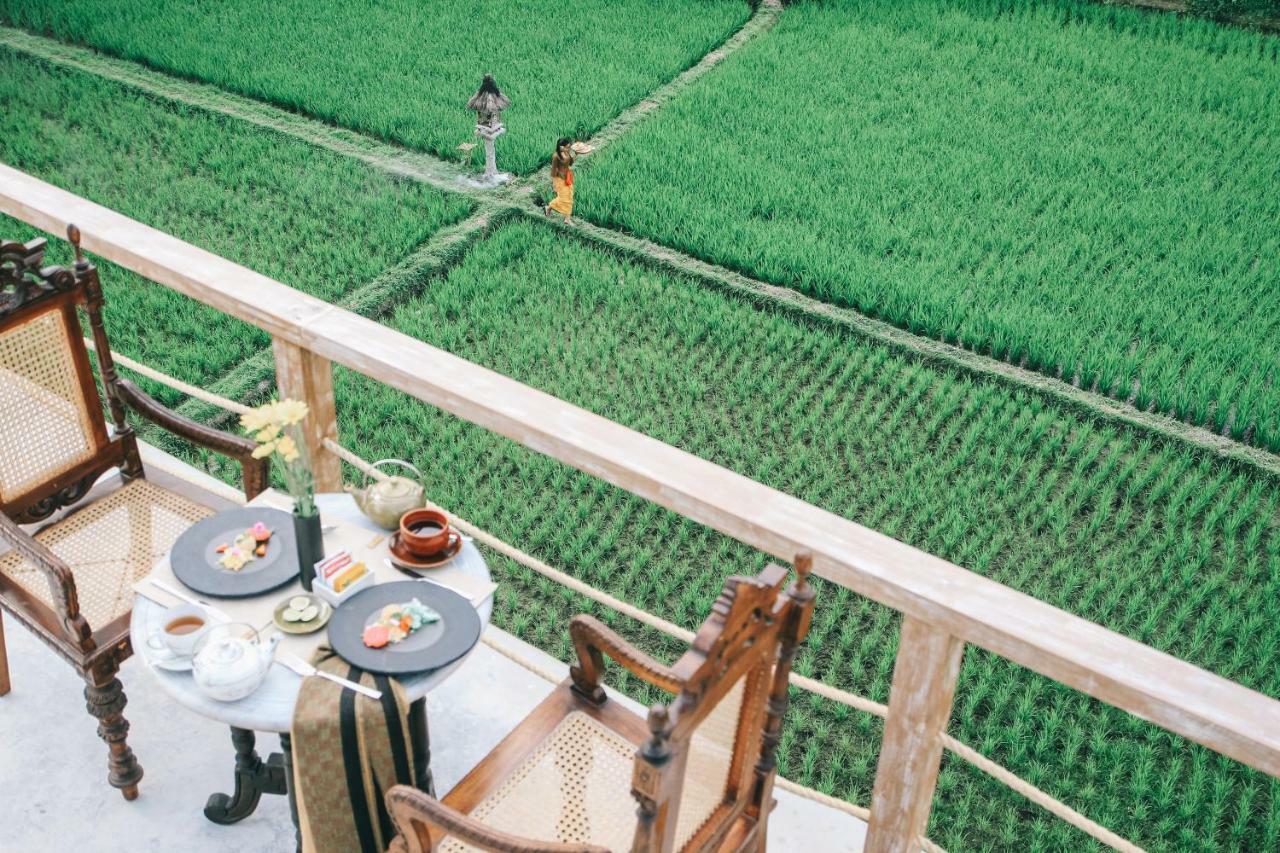 Kuwarasan A Pramana Experience Hotel Ubud Exterior foto View from the hotel